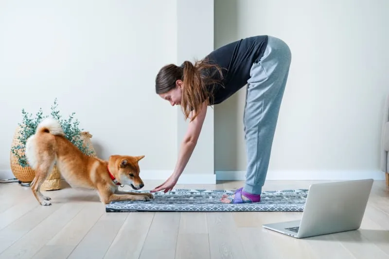 6 Tips to Best Care For Your Dog's Health