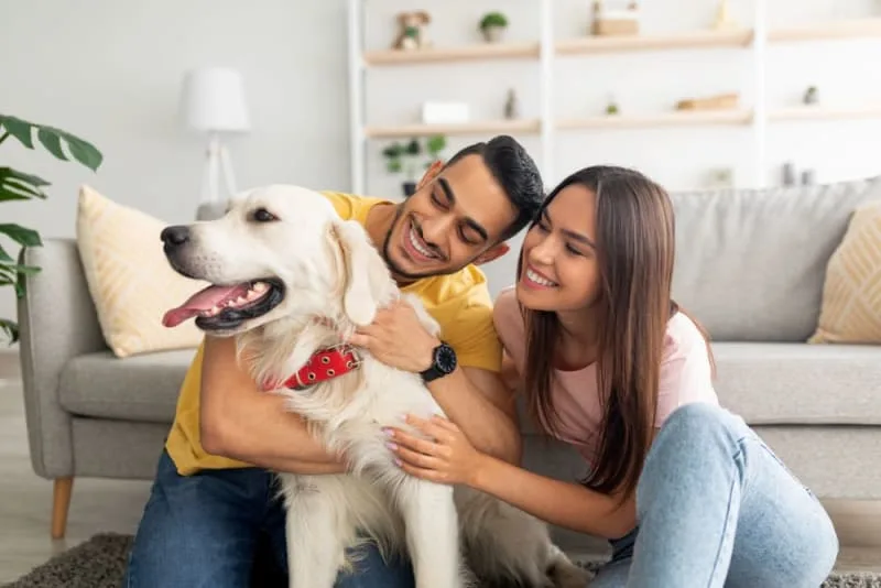 Costs of Owning a Dog