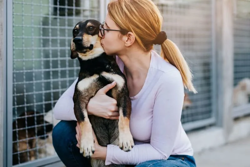 10 Reasons to Adopt a Shelter Dog