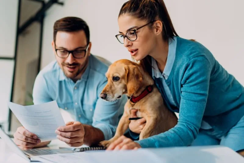 4 Benefits of Pet Wellness Plans