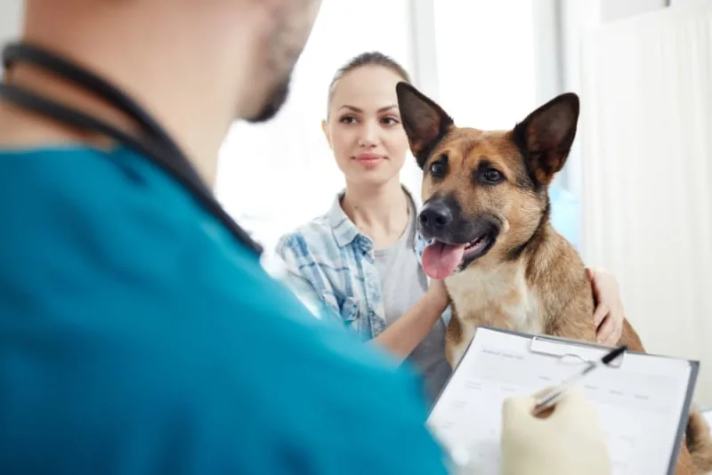 How often should I take my dog to the vet?