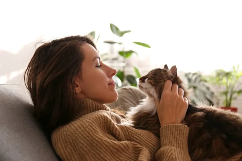 Can Cats Have an Asthma Attack?
