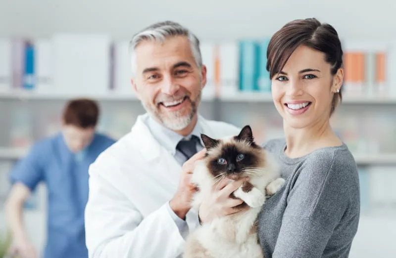 How Often Do You Take a Cat to The Vet?