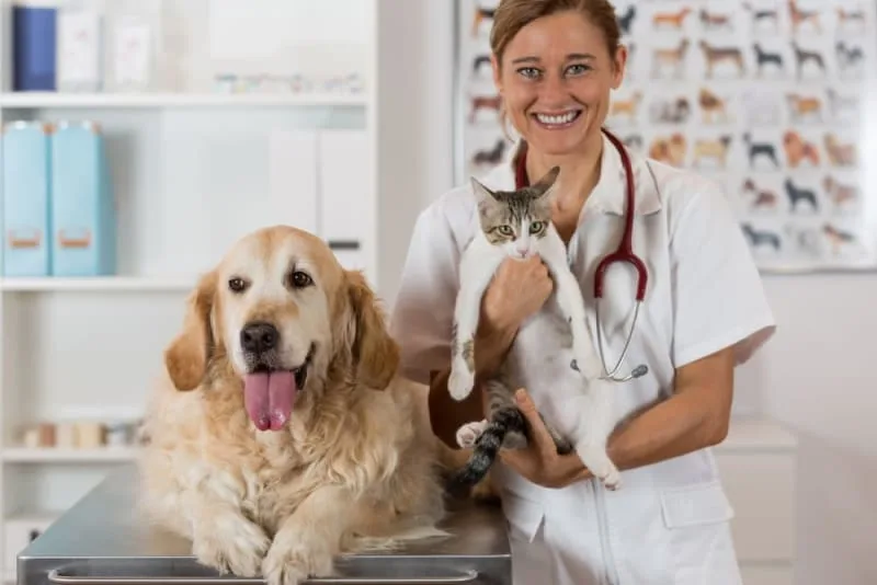 Pet Routine Care Checklist