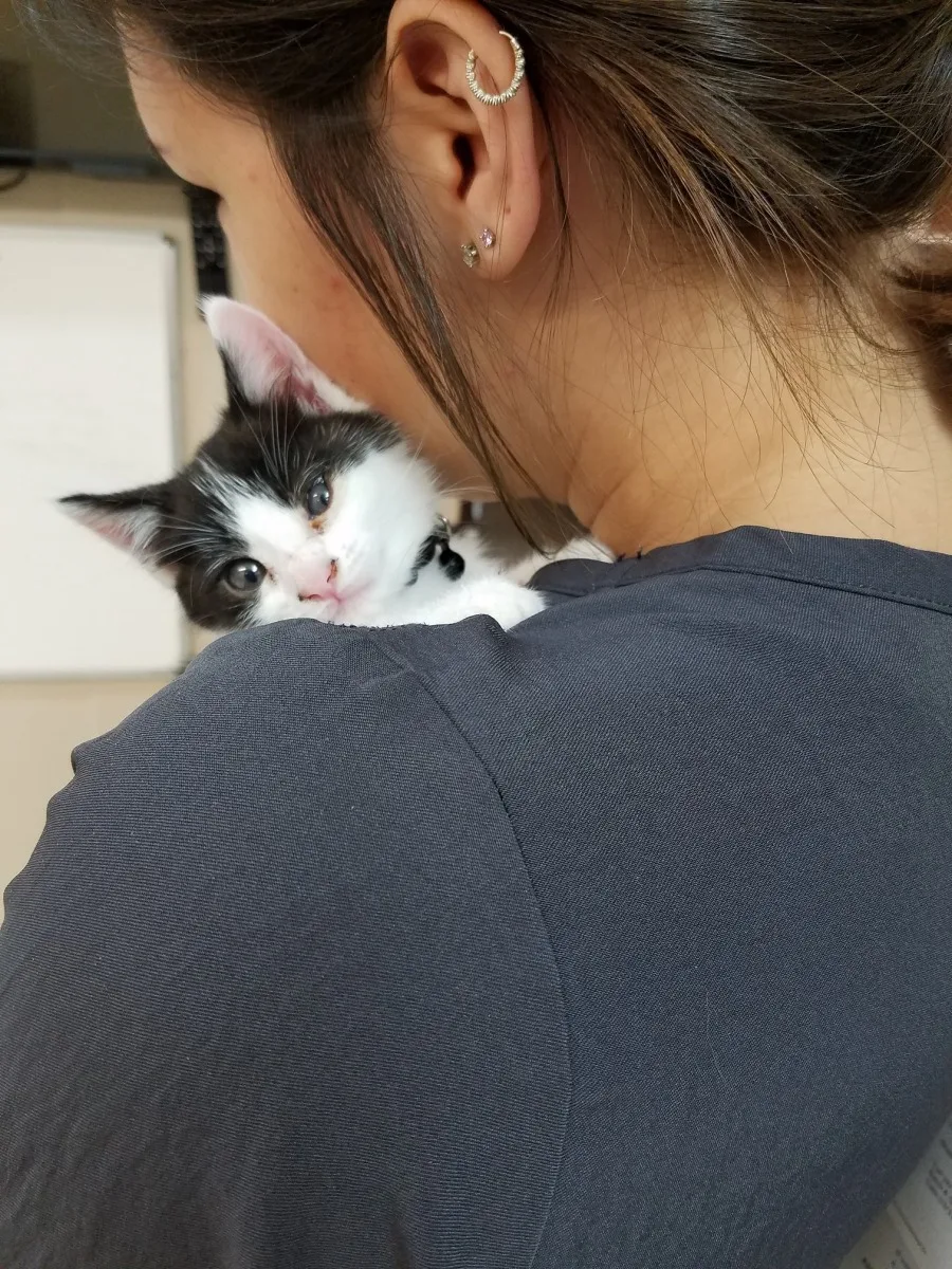 Rocklin Road Animal Hospital 10