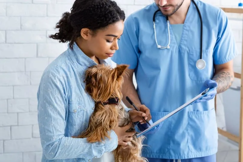 Vaccine Reactions in Dogs: Everything You Should Know