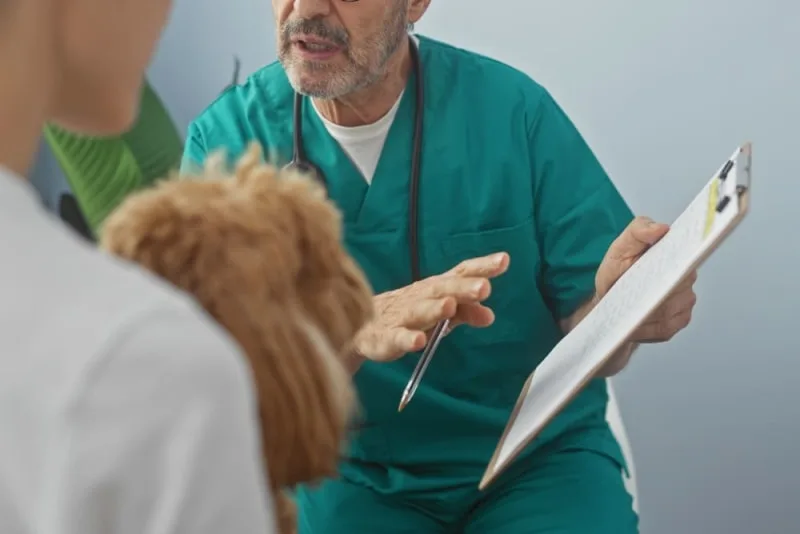 Why does my pet need a urinalysis?