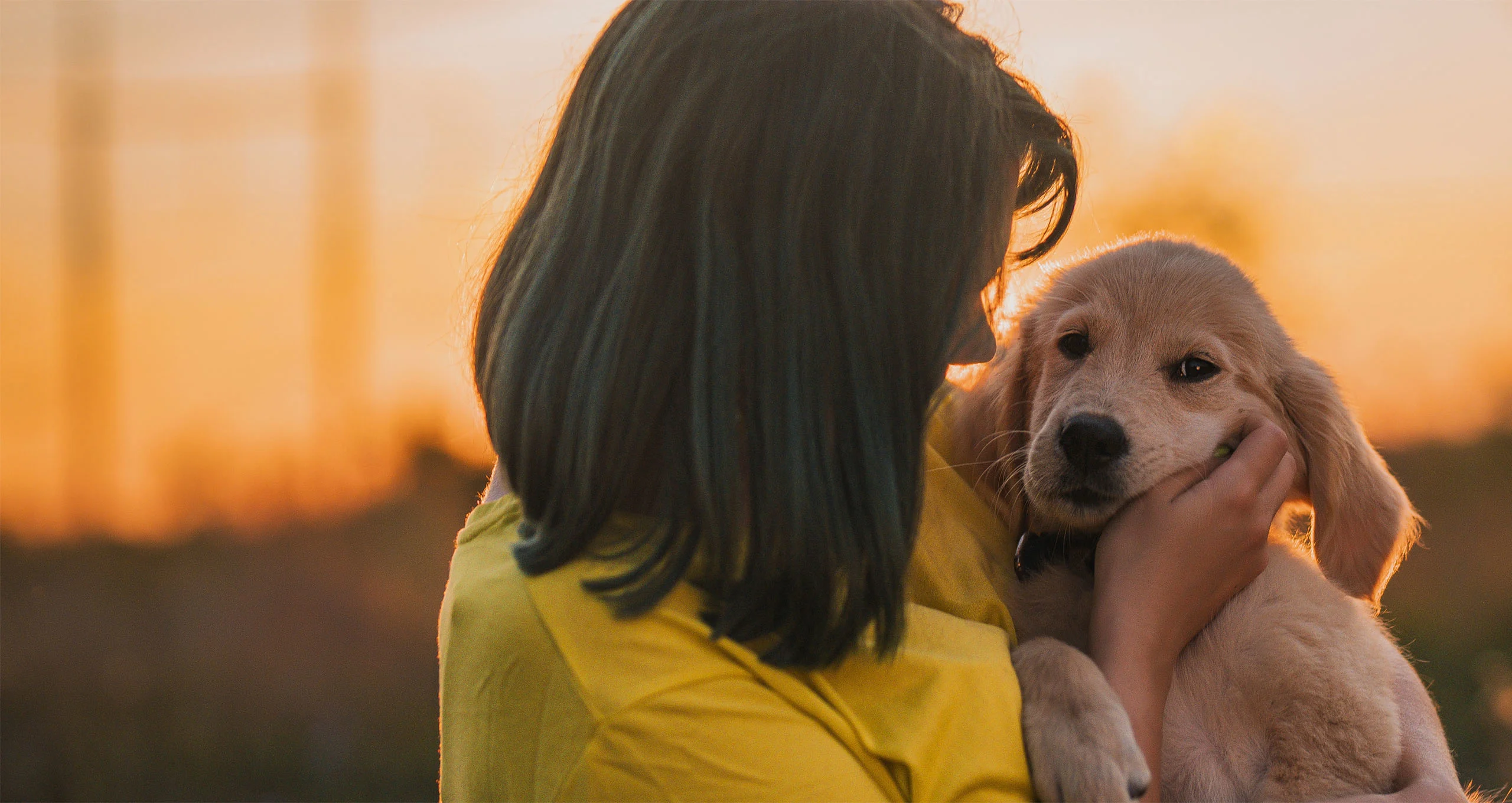 h woman with short brown hair and yellow shirt holding retriever puppy at dusk