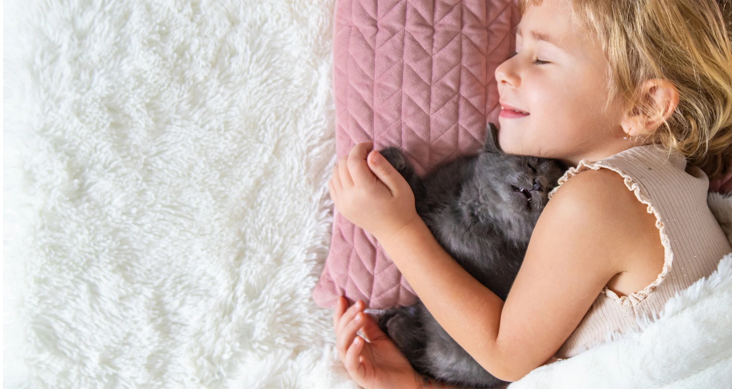 h little girl on pink pillow sleeping with grey kitten