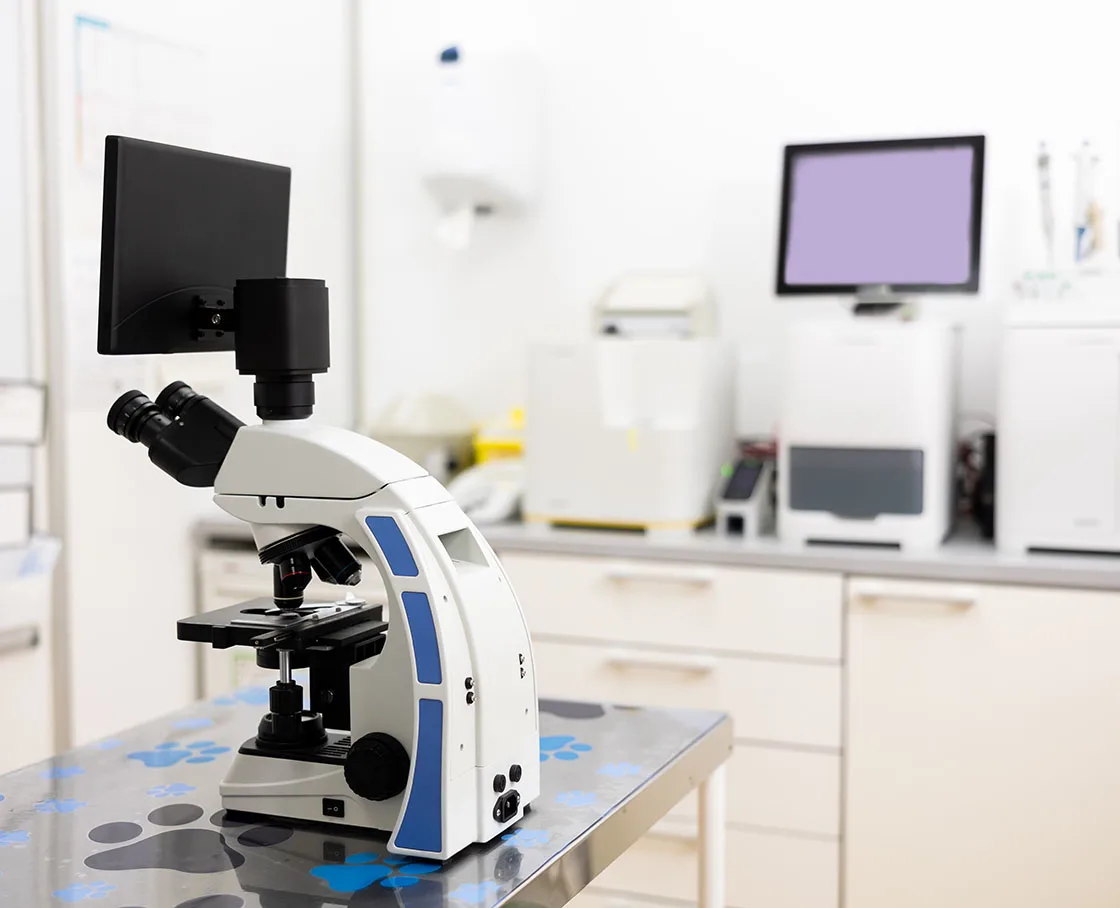 microscope