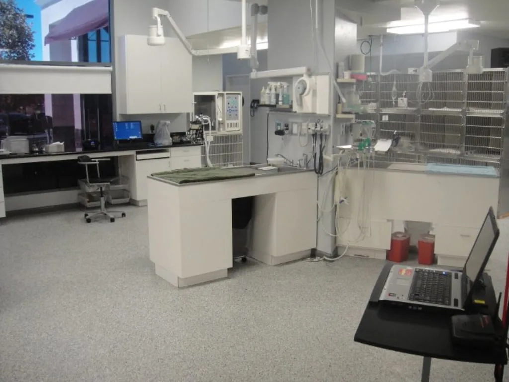 Treatment Room