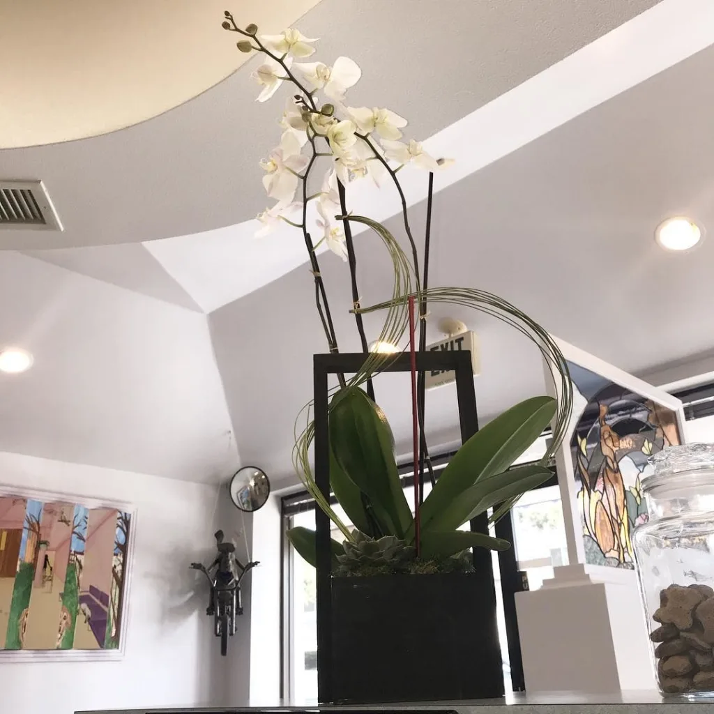 vet clinic interior