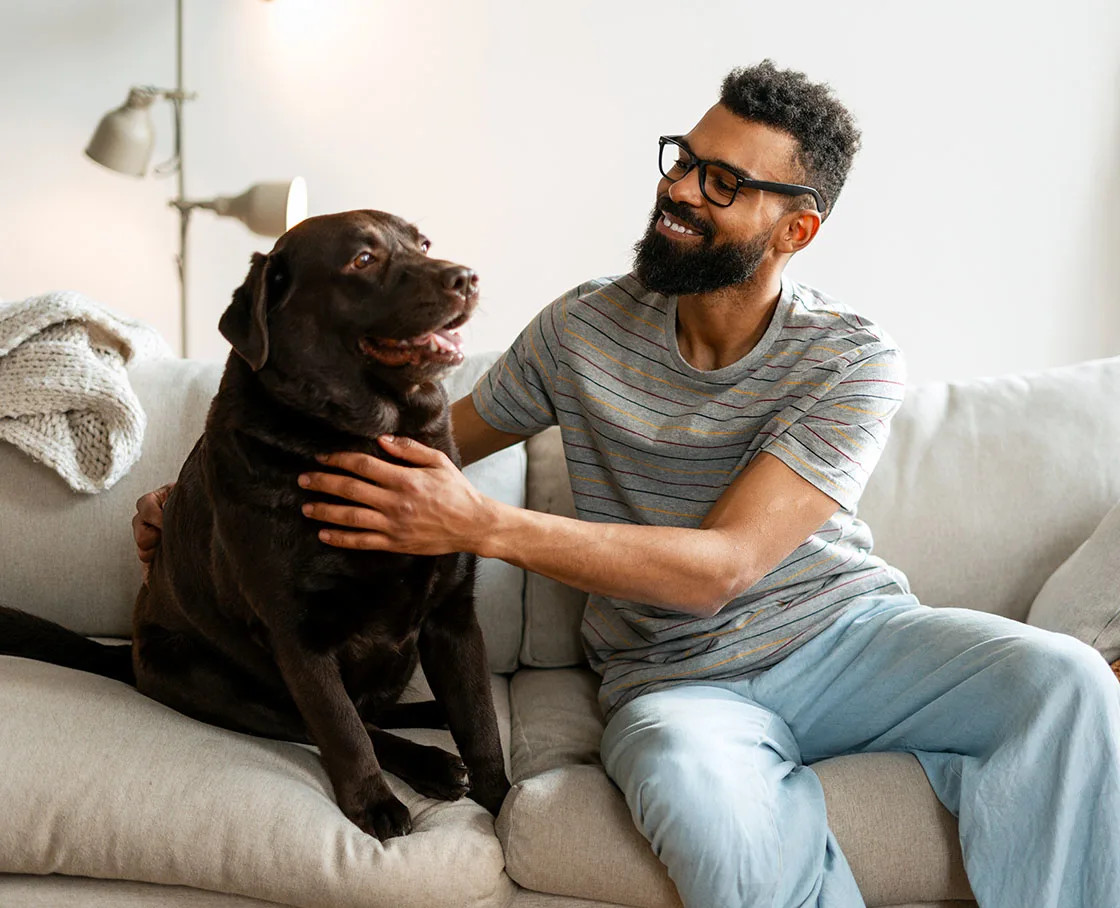 man sits with chocalate lab on white couch