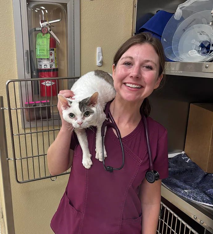 Mountain View Veterinary Hospital Vancouver Washington 4