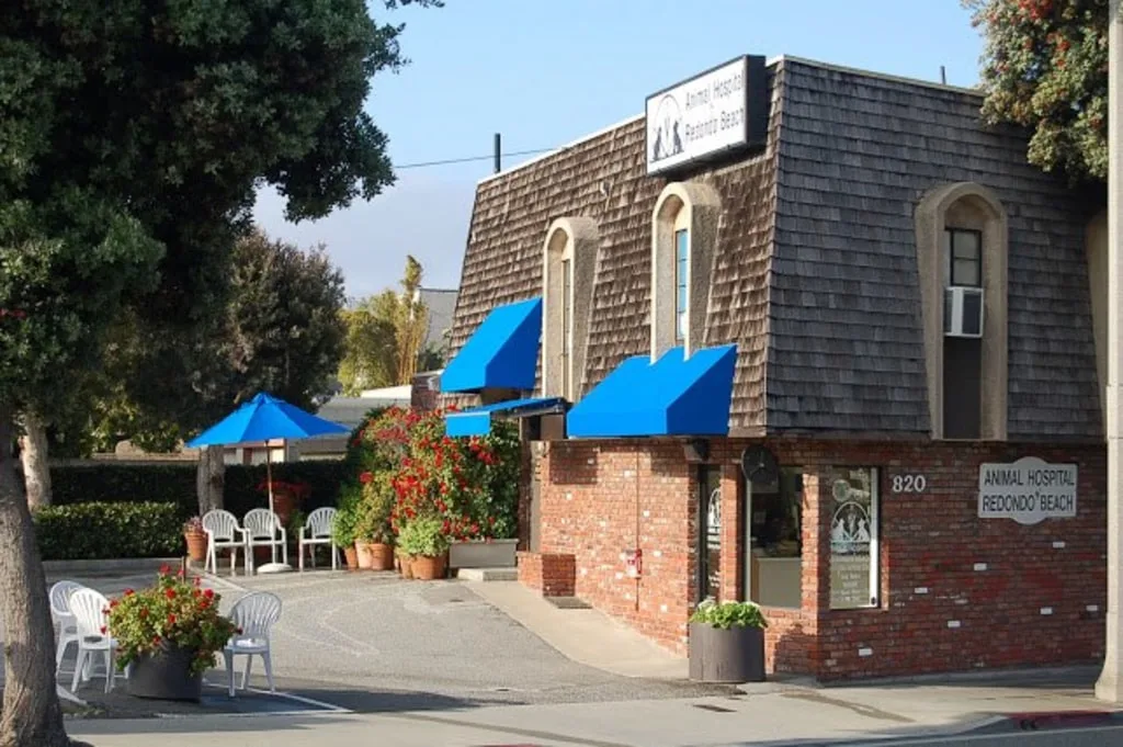 animal vet in Redondo Beach
