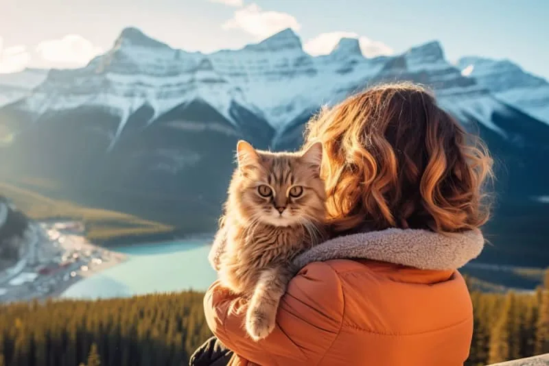 How to Travel With a Cat: Tips for a Low-Stress Trip