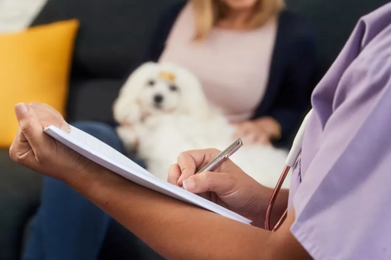 Routine Vet Exams - Why Are Regular Veterinary Checkups Important?