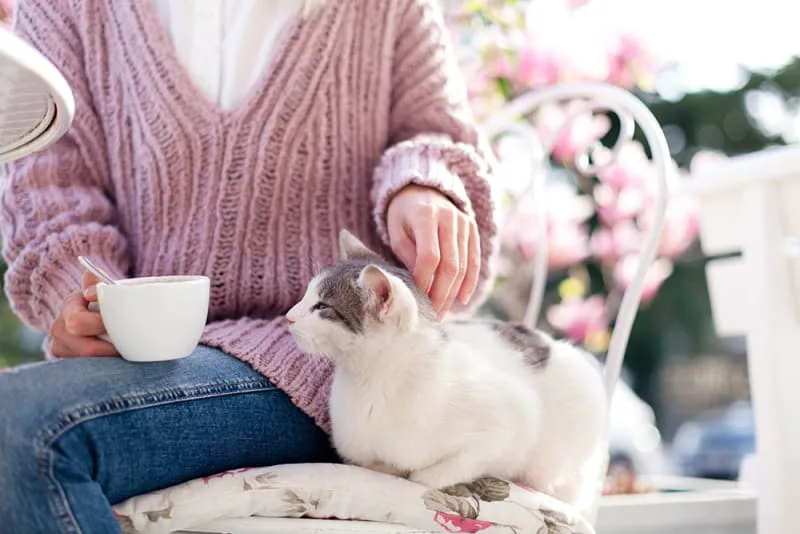 Do I need to vaccinate my indoor cat?