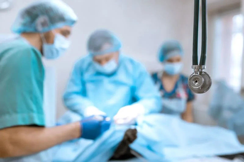 Anesthesia for Dogs