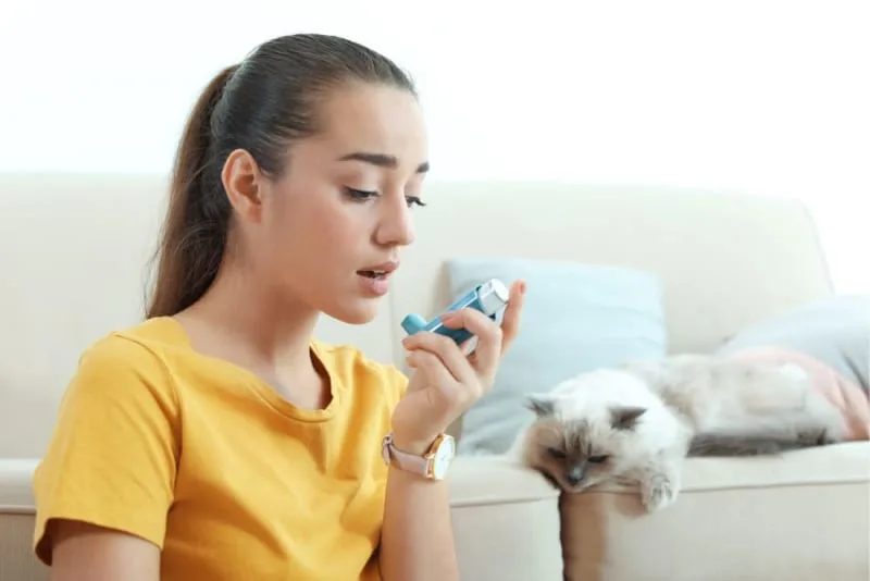 Can cats cause asthma in humans?