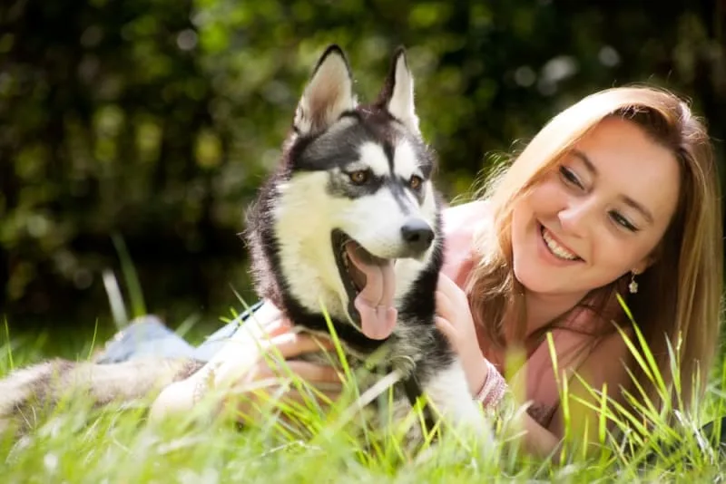 The Importance of Parasite Control in Dogs
