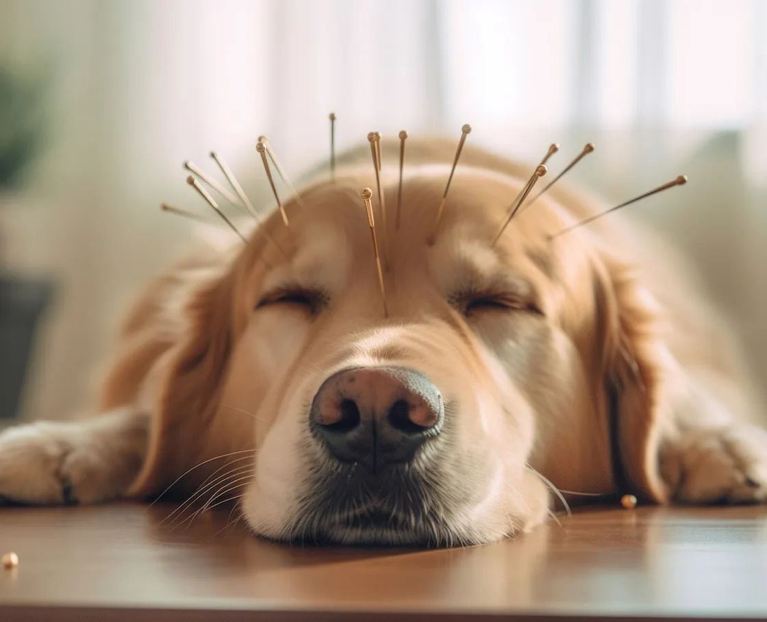 A golden retriever resting its head on a wooden surface with its eyes closed.