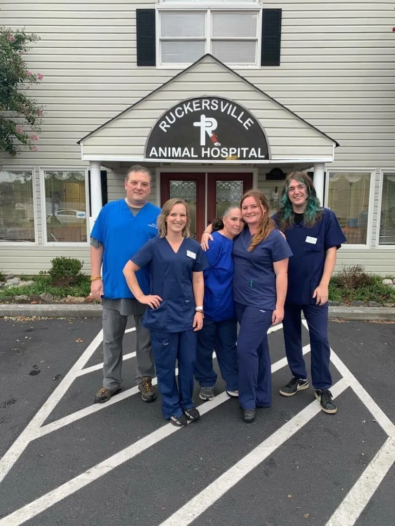 Veterinary Assistants