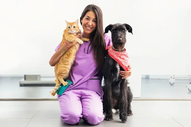 Making the Most of Your Pet's Routine Exam: What to Ask Your Vet