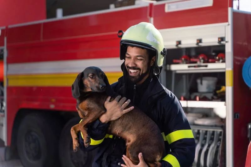 Supporting Pets and Families During Wildfire Evacuations: How We’re Here to Help