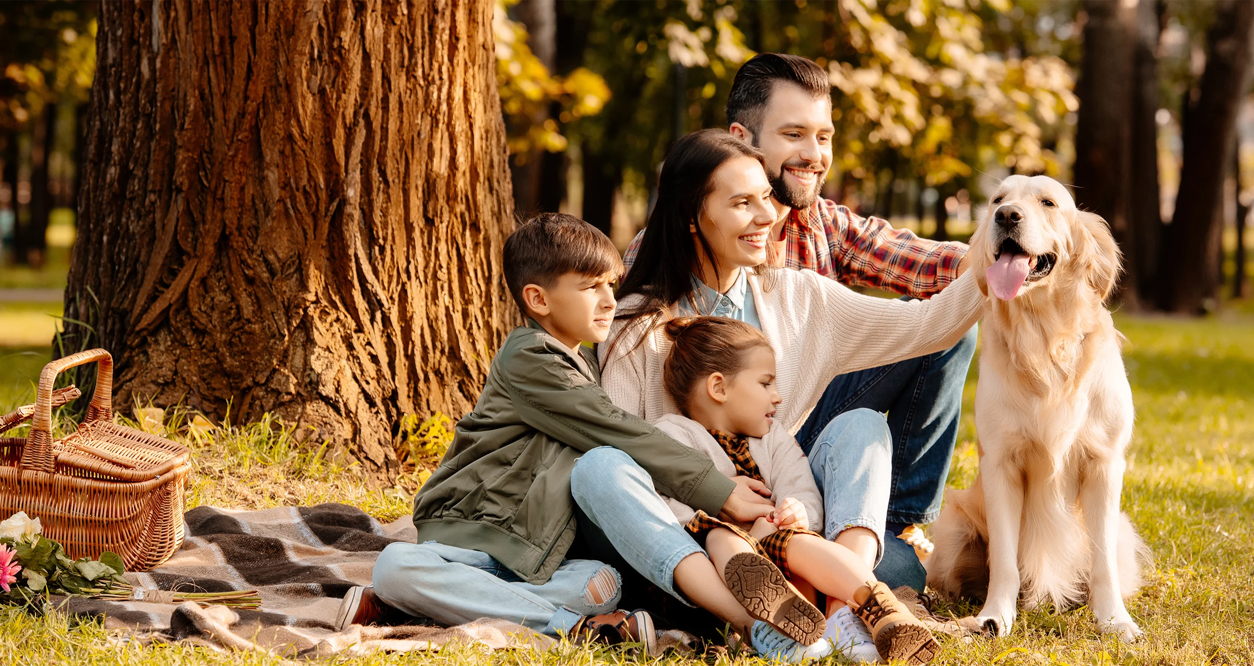 h family with golden picnicking in park in late afternoon