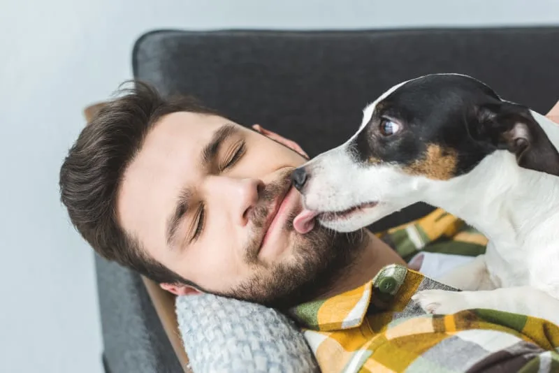 Symptoms and Treatment for Giardia in Dogs