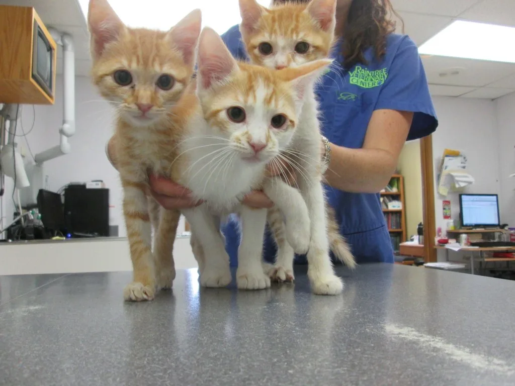 Our Patients