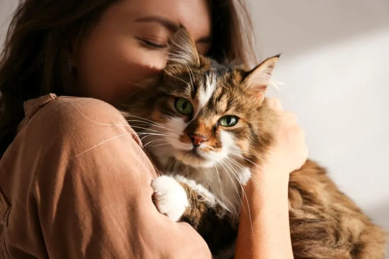 Signs Your Pet Needs Emergency Vet Care