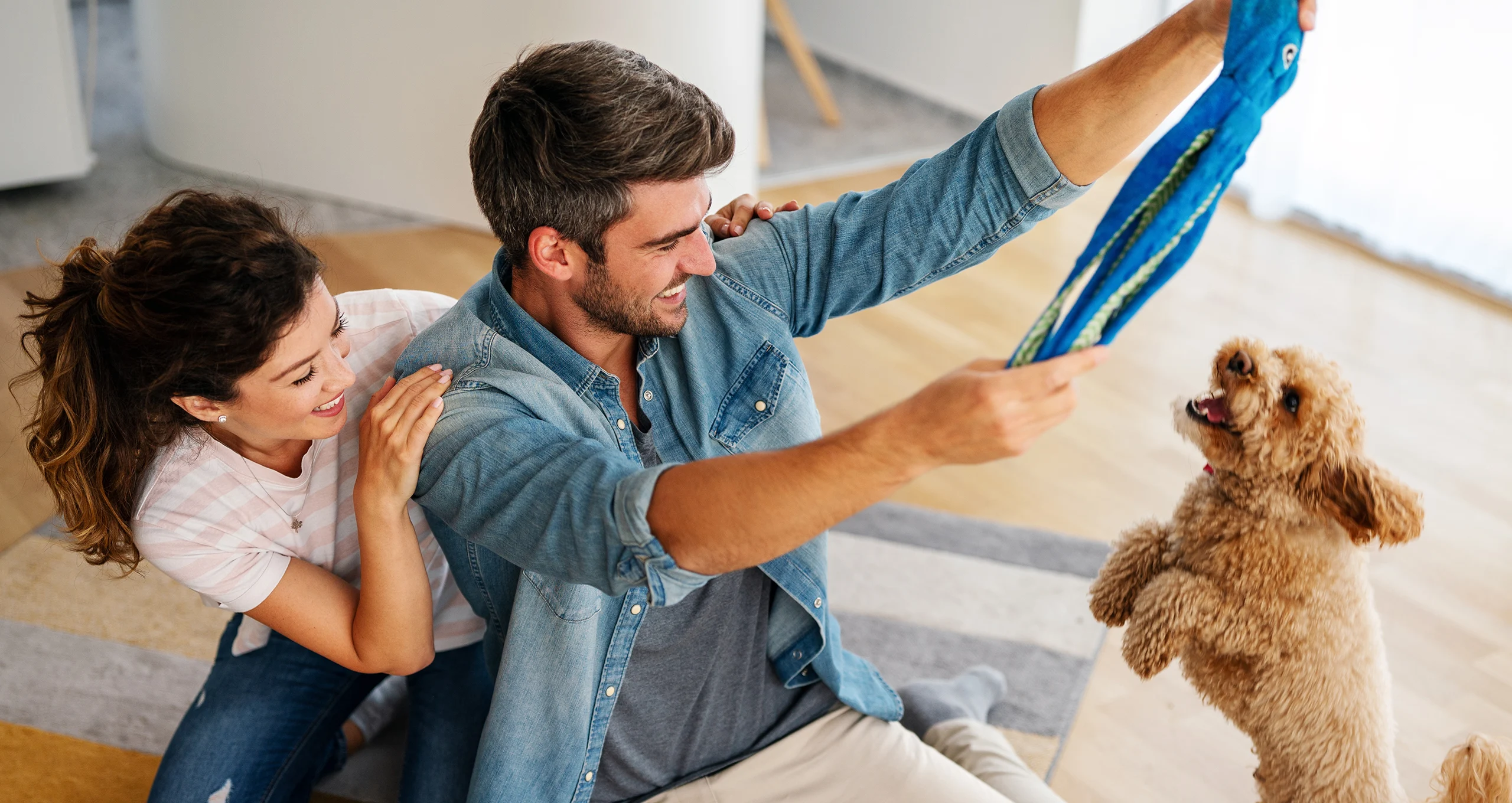 h woman and man playing with rag and poodle in ktichen