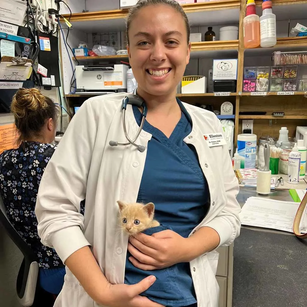 Our Veterinary Team