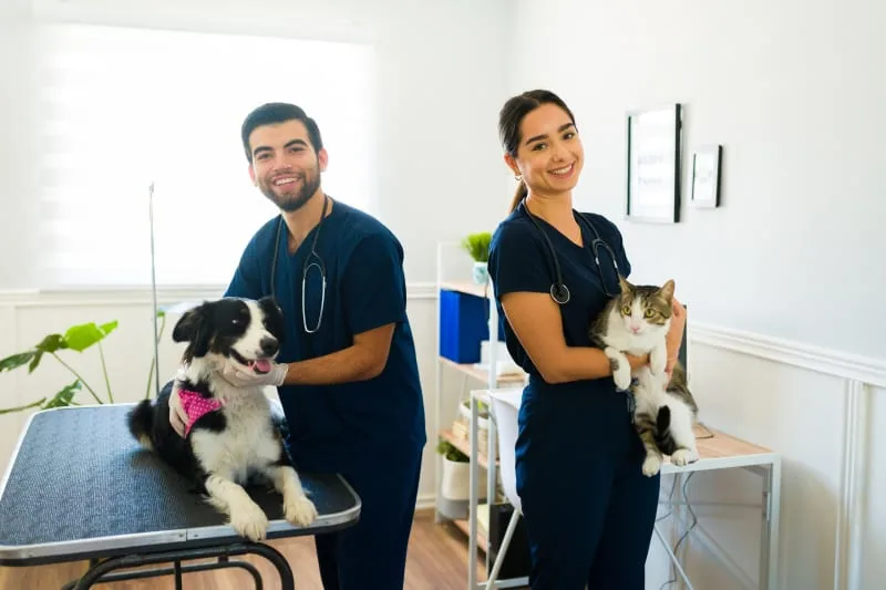 6 Benefits to Pet Wellness Plans
