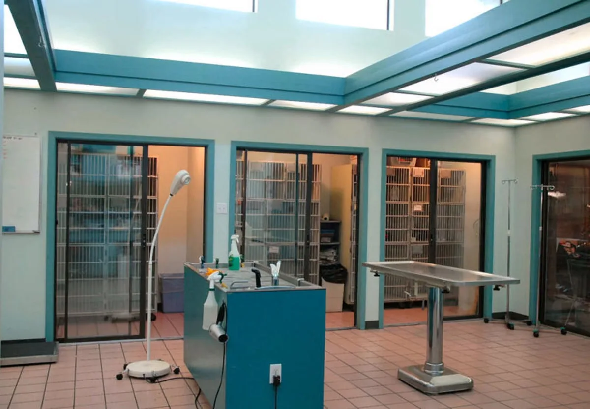 Treatment Area 1