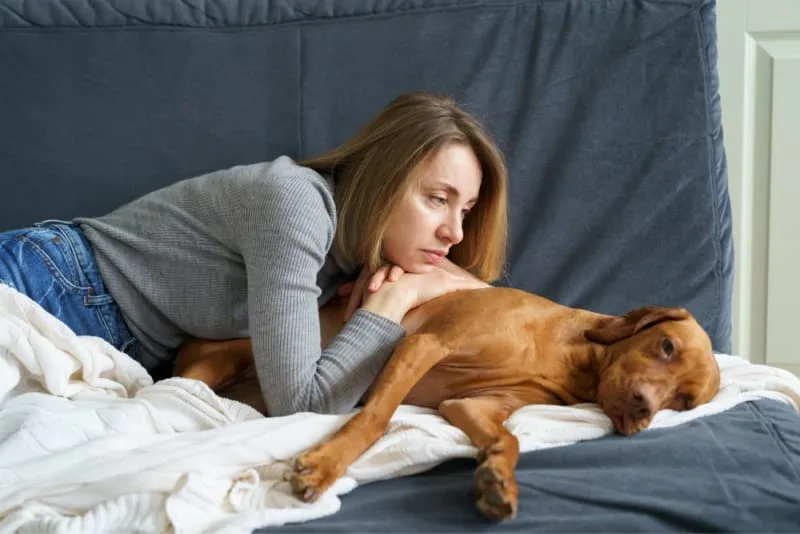Vomiting & Diarrhea  in Pets That Won't Stop: Causes & What to Do