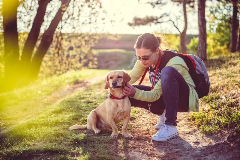Protecting Your Pet From Ticks
