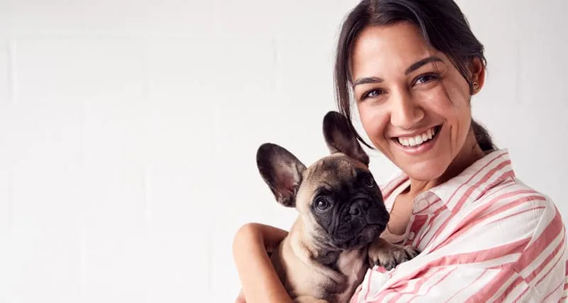 Veterinary Qualifications in the United States