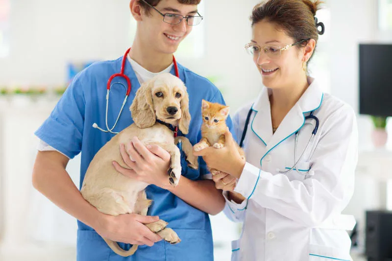 Why are dog and cat checkups so important?