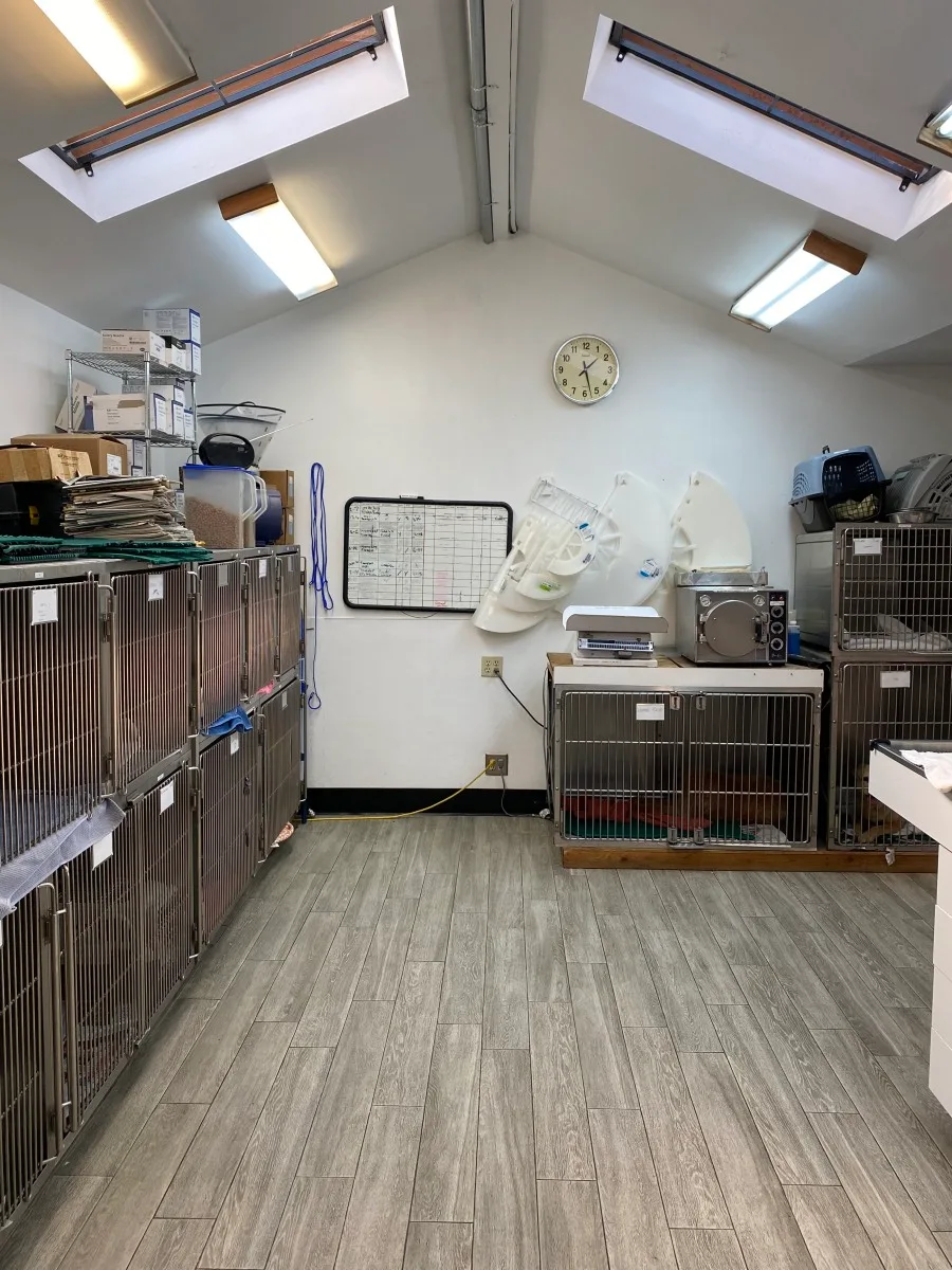 Accomodations For Pets