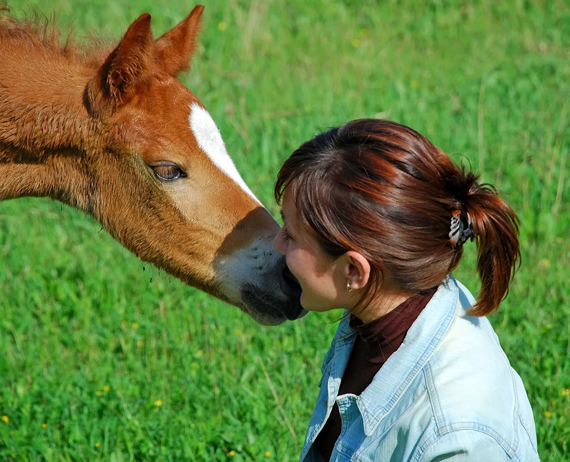 foal with girl in grass field