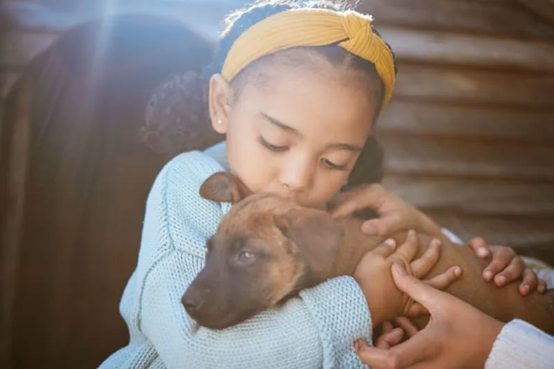 Costs of Owning a Dog