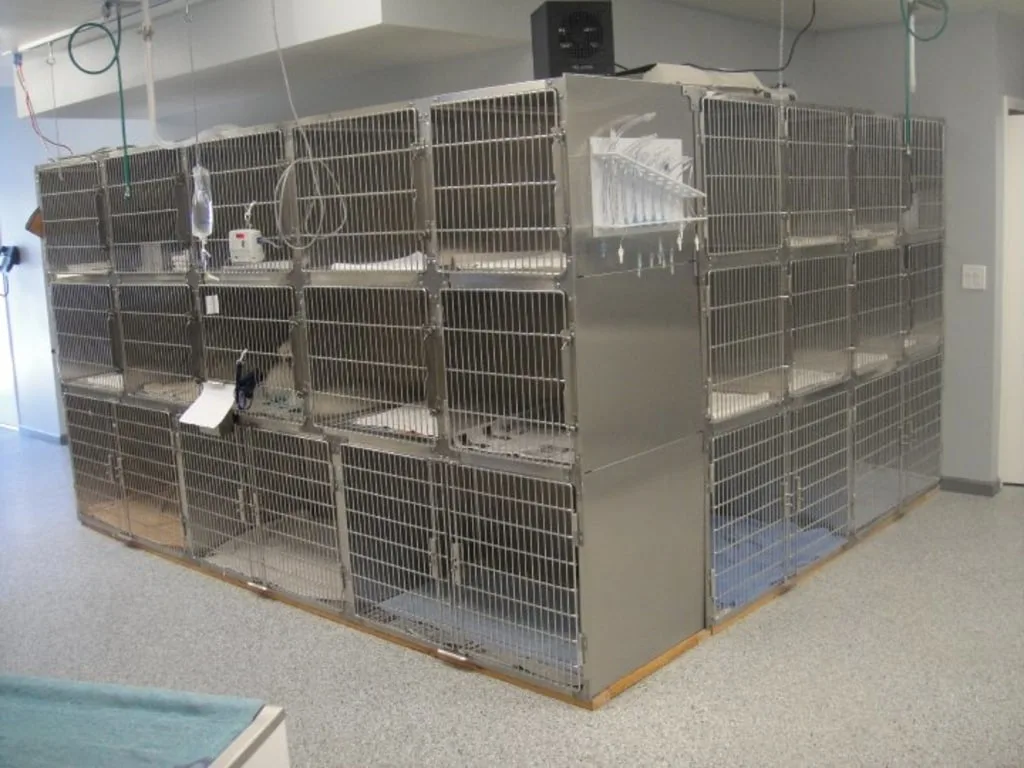 Accomodations For Pets
