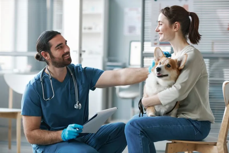 How To Understand Blood Tests For Dogs