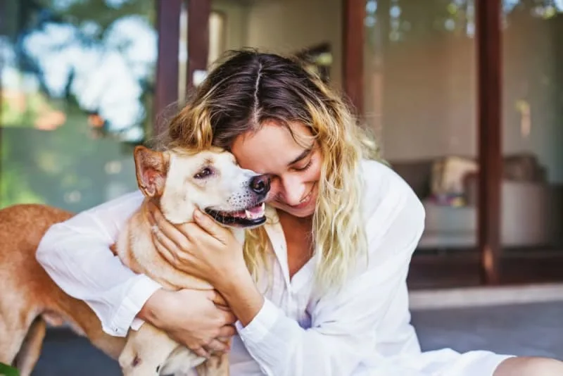 Helping Your Dog or Cat Heal Quickly After Veterinary Surgery