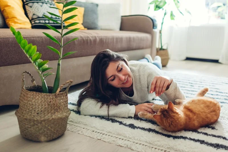 Getting Your Cat Fixed: When and What To Know