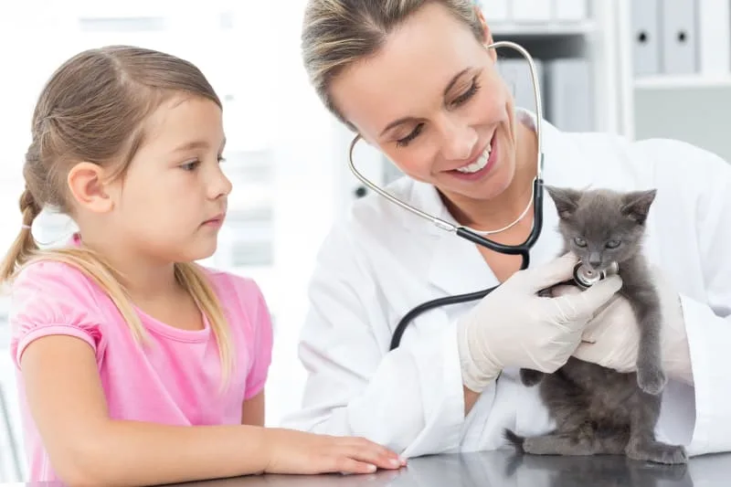 The Importance of Routine Vet Exams