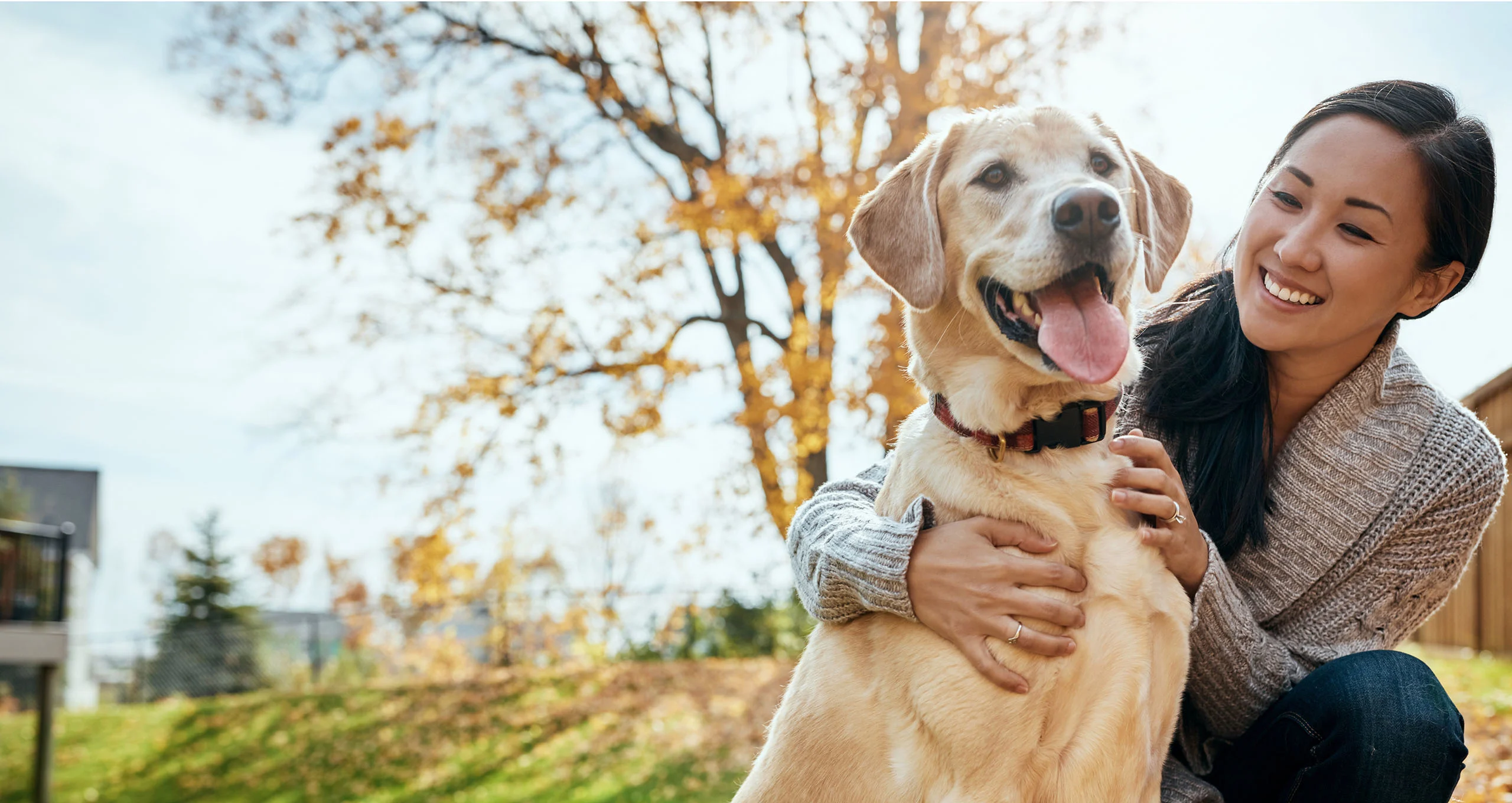 h asian woman hugging yellow lab outside in fall
